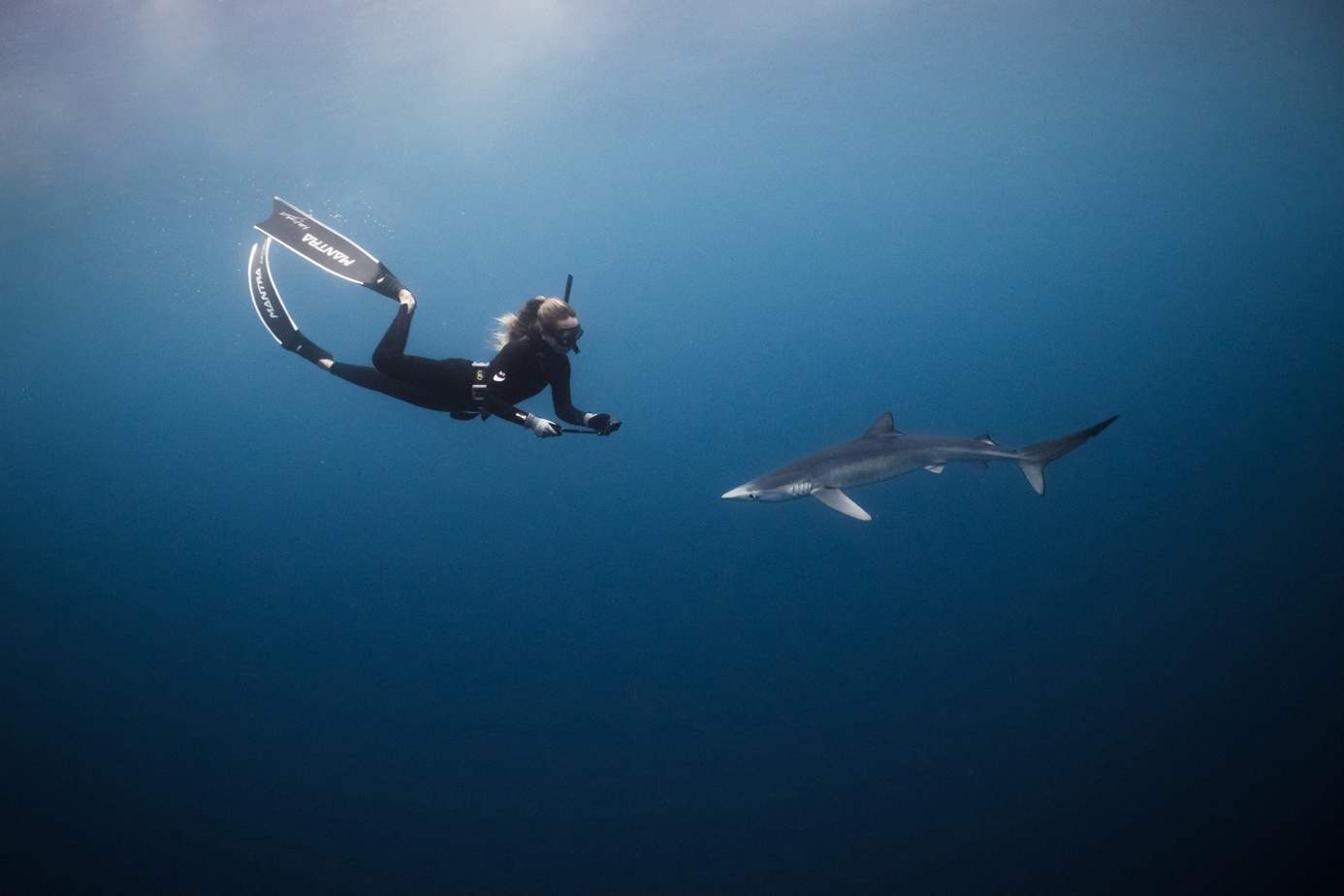 Freediver photographing a blue shark in open water